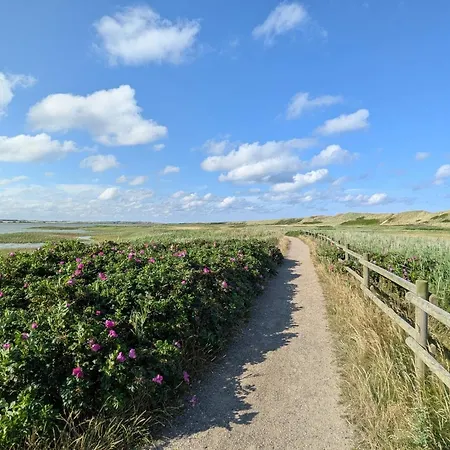 Coastal Vacation In Harboore Ferienhaus